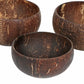 Coconut Shell Bowls