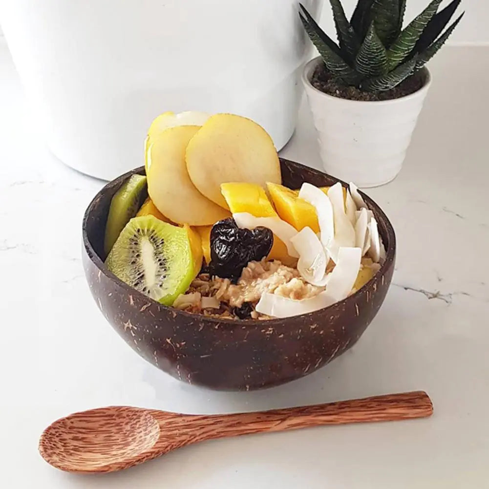 Coconut Shell Bowls