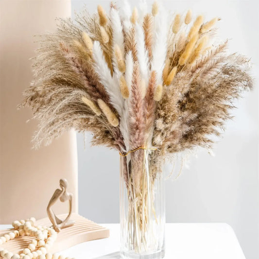 Natural Dried Flowers  - Pampas